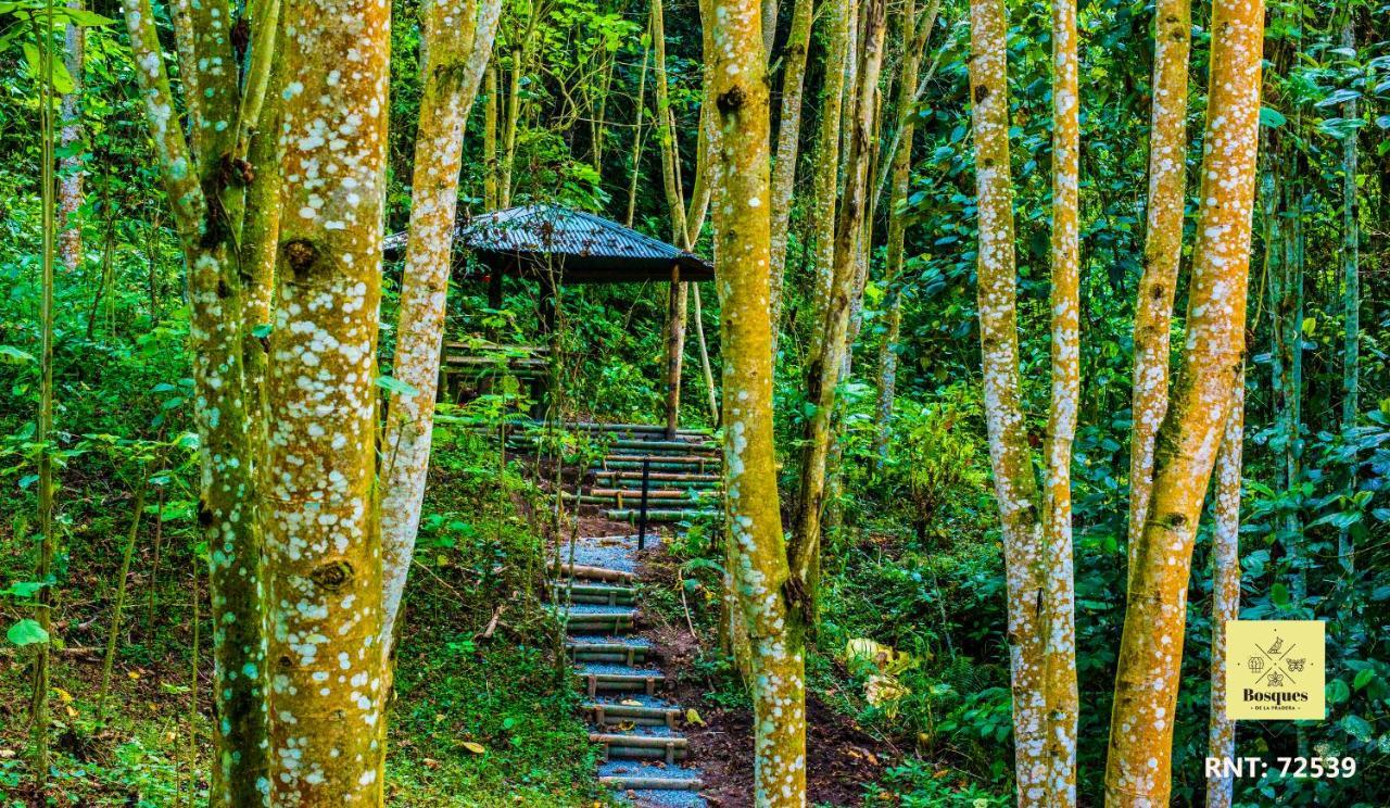 Bosques De La Pradera Hotel Manizales Kültér fotó