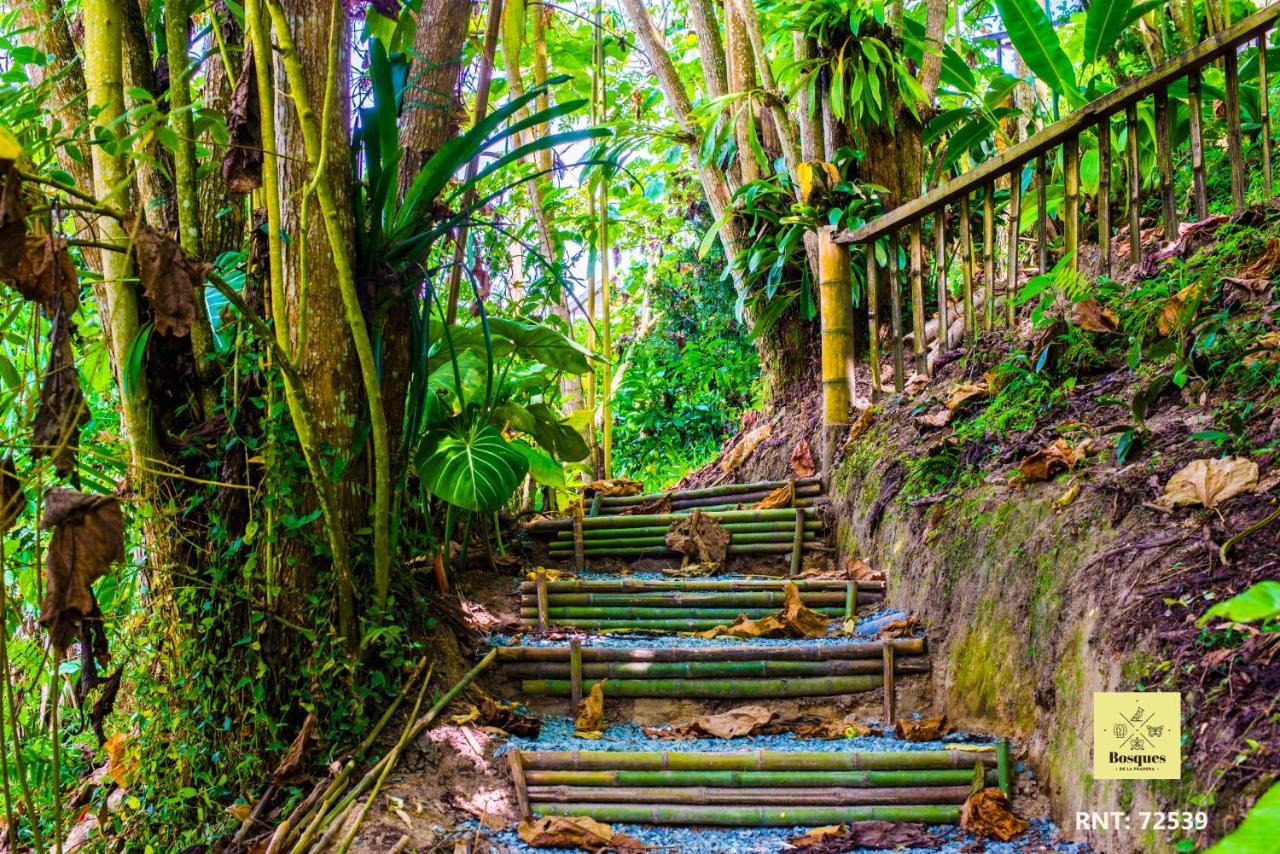 Bosques De La Pradera Hotel Manizales Kültér fotó